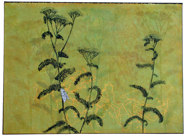 Kathleen Piercefield's image "Yarrow" including drypoint elements.
